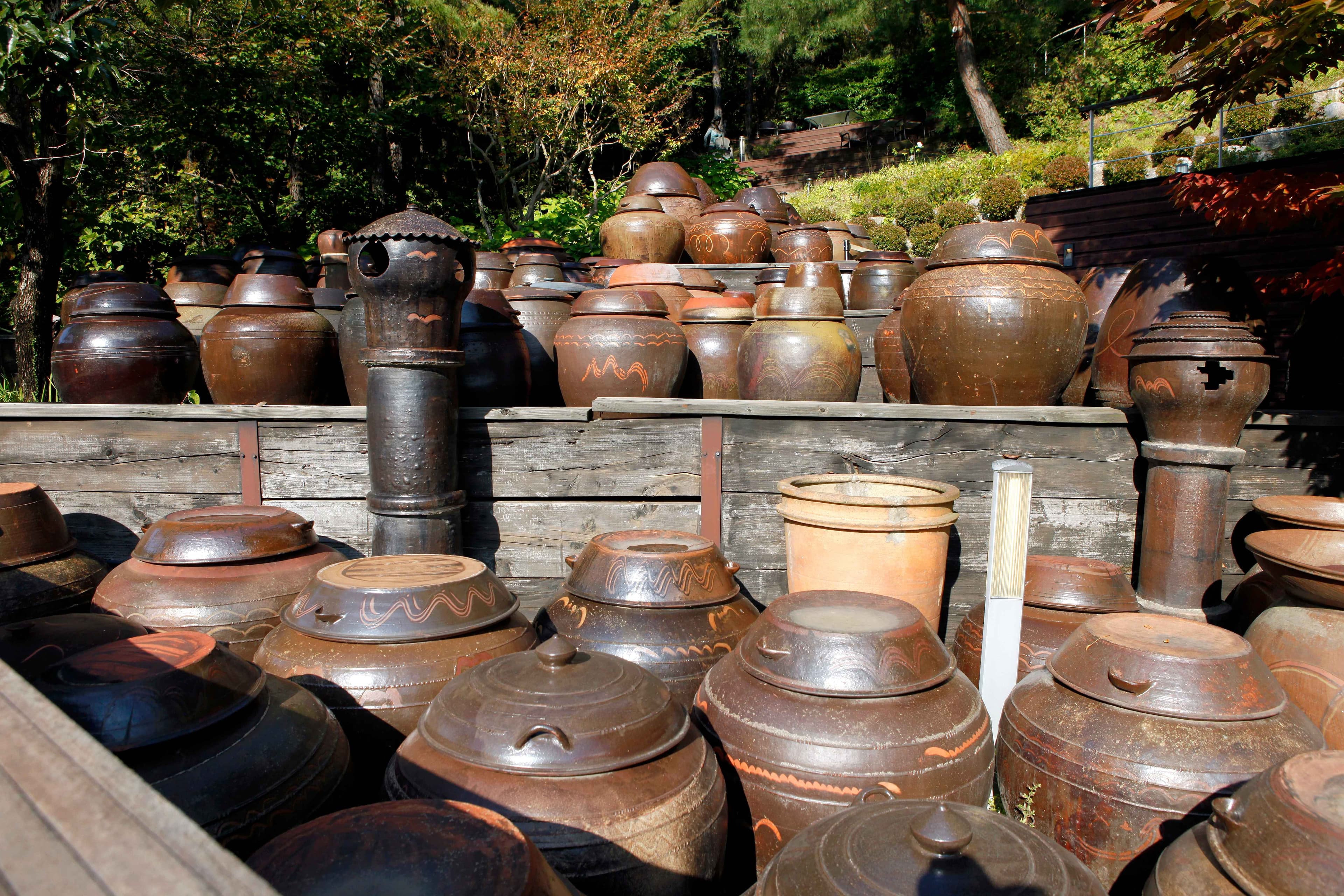 Rows of large onggi jars in a wooden shelter at the Han Hyang Lim Onggi Museum in Paju.